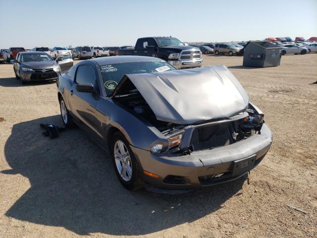 FORD MUSTANG 2011 1zvbp8am2b5144396