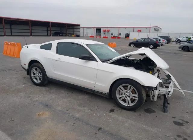 FORD MUSTANG 2011 1zvbp8am2b5146567