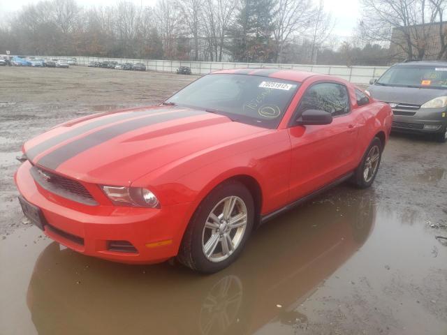 FORD MUSTANG 2011 1zvbp8am2b5147587