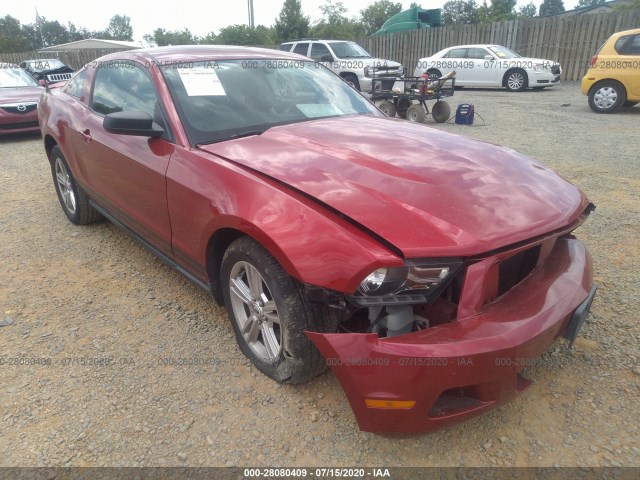 FORD MUSTANG 2011 1zvbp8am2b5149341