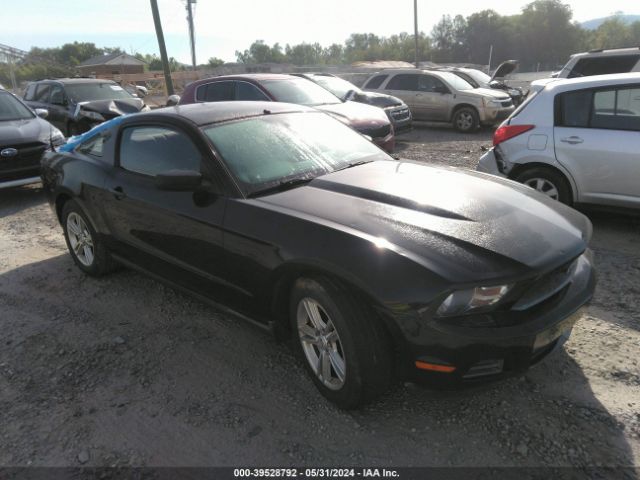 FORD MUSTANG 2011 1zvbp8am2b5150702