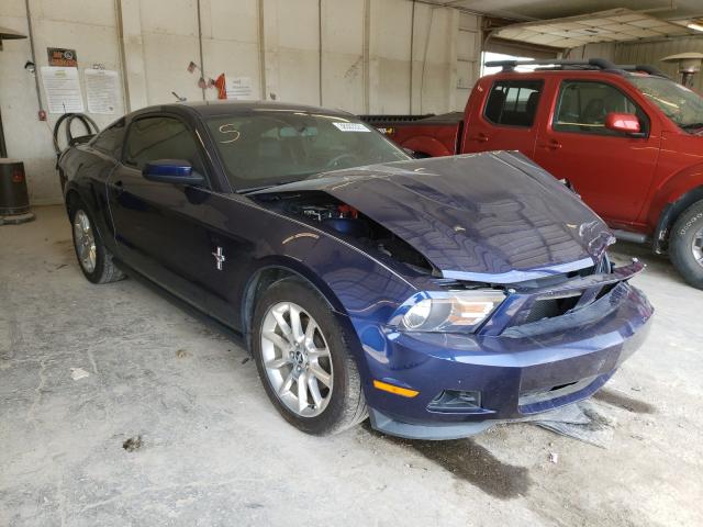 FORD MUSTANG 2011 1zvbp8am2b5151896