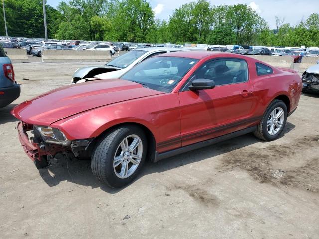 FORD MUSTANG 2011 1zvbp8am2b5155303