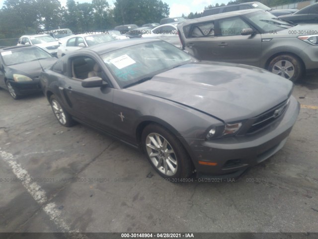 FORD MUSTANG 2011 1zvbp8am2b5155480