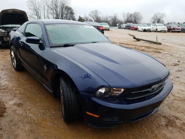 FORD MUSTANG 2011 1zvbp8am2b5161098