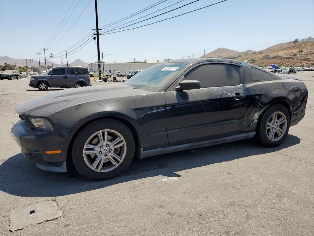 FORD MUSTANG 2011 1zvbp8am2b5162994