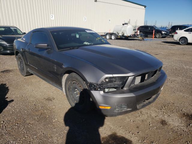 FORD MUSTANG 2011 1zvbp8am2b5163689