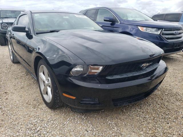 FORD MUSTANG 2011 1zvbp8am2b5164535