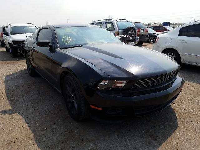 FORD MUSTANG 2011 1zvbp8am2b5169332