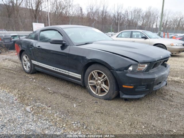 FORD MUSTANG 2011 1zvbp8am2b5169749