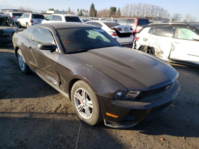 FORD MUSTANG 2012 1zvbp8am2c5221964