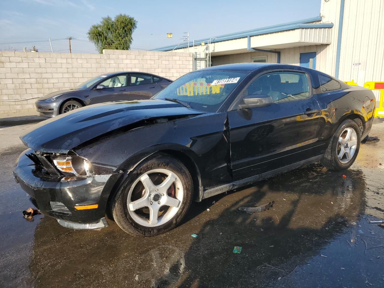 FORD MUSTANG 2012 1zvbp8am2c5224363