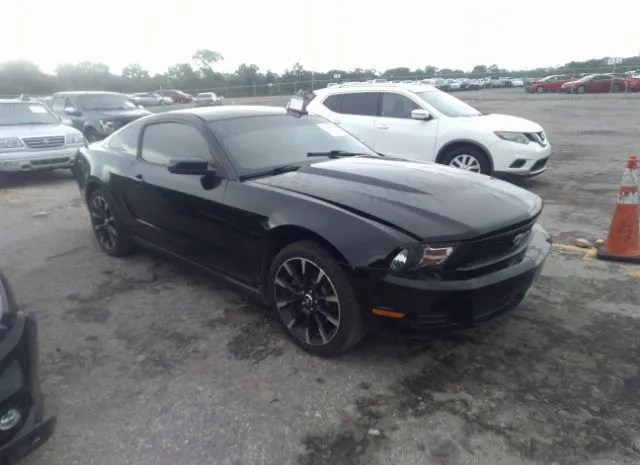 FORD MUSTANG 2012 1zvbp8am2c5240403