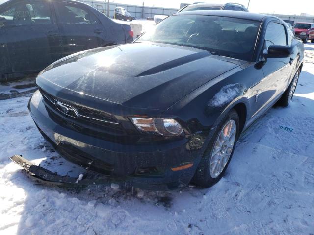 FORD MUSTANG 2012 1zvbp8am2c5240420