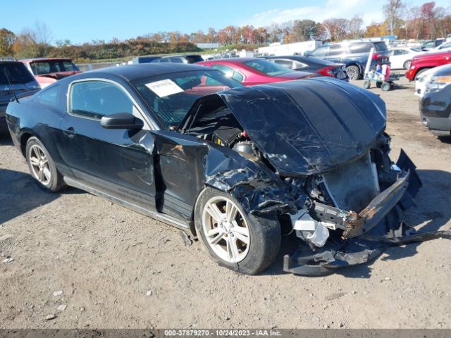 FORD MUSTANG 2012 1zvbp8am2c5262689