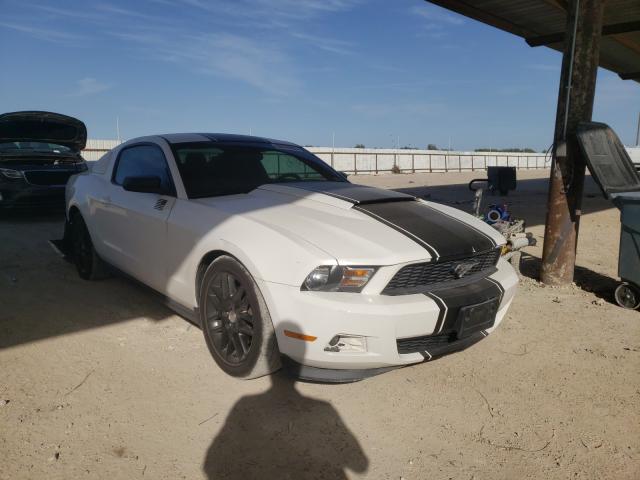 FORD MUSTANG 2012 1zvbp8am2c5270811