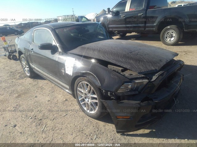 FORD MUSTANG 2013 1zvbp8am2d5202154