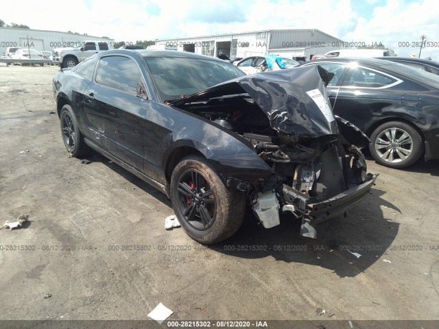 FORD MUSTANG 2013 1zvbp8am2d5204213