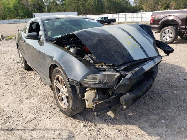 FORD MUSTANG 2013 1zvbp8am2d5207354