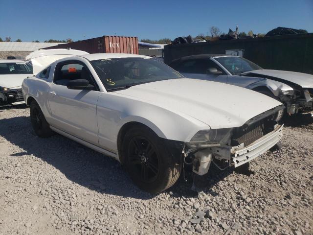 FORD MUSTANG 2013 1zvbp8am2d5207449