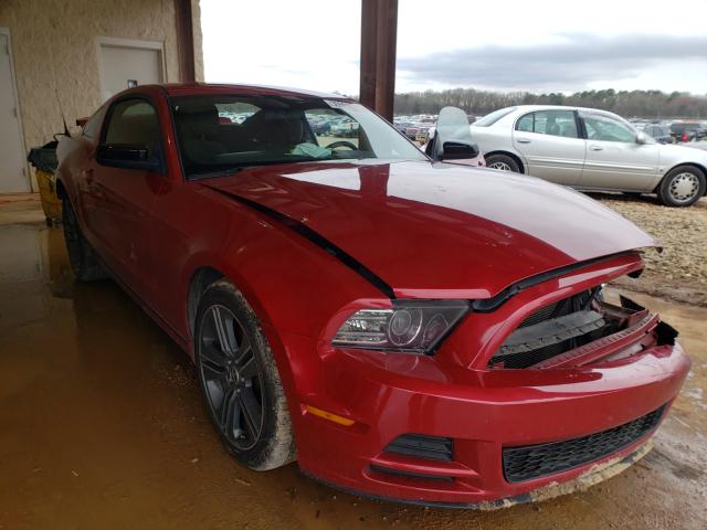 FORD MUSTANG 2013 1zvbp8am2d5208701