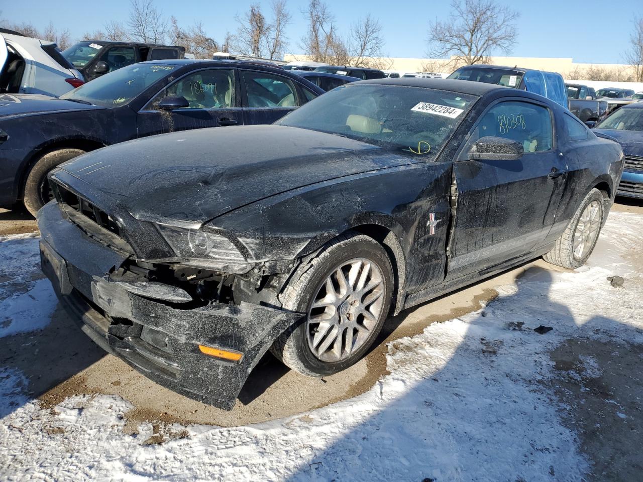 FORD MUSTANG 2013 1zvbp8am2d5209301