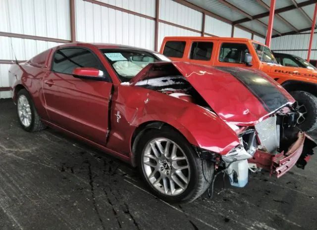 FORD MUSTANG 2013 1zvbp8am2d5213459