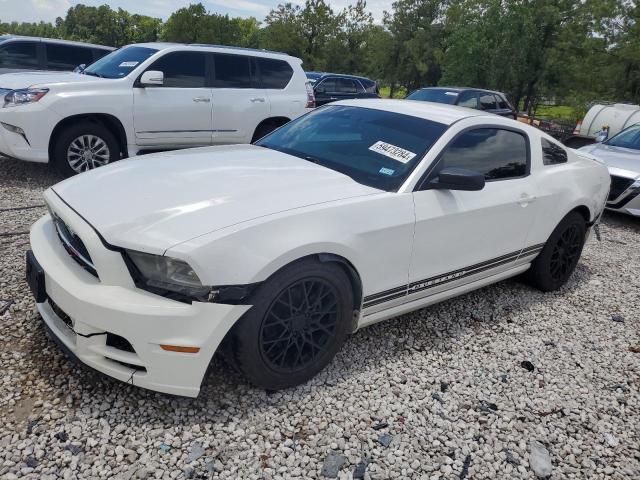 FORD MUSTANG 2013 1zvbp8am2d5226549