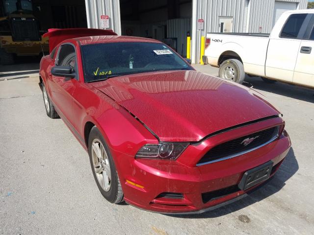 FORD MUSTANG 2013 1zvbp8am2d5228317