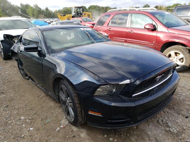 FORD MUSTANG 2013 1zvbp8am2d5229709