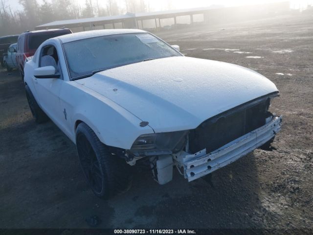 FORD MUSTANG 2013 1zvbp8am2d5232545