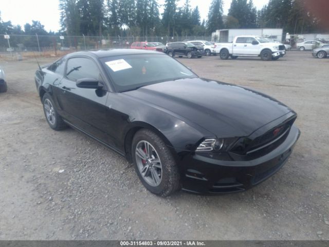 FORD MUSTANG 2013 1zvbp8am2d5234506