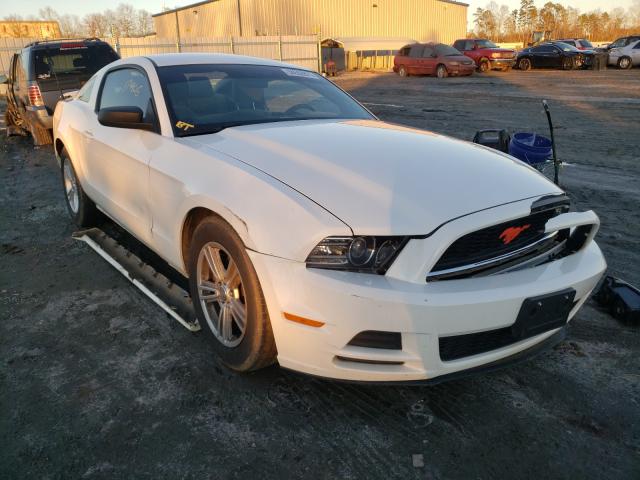 FORD MUSTANG 2013 1zvbp8am2d5237874