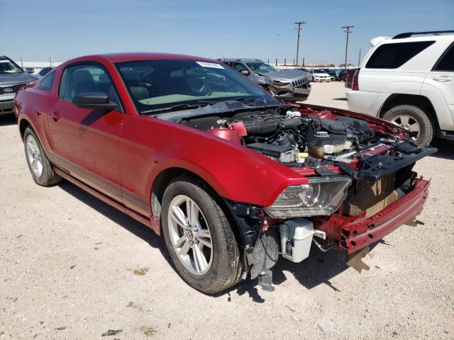 FORD MUSTANG 2013 1zvbp8am2d5241309