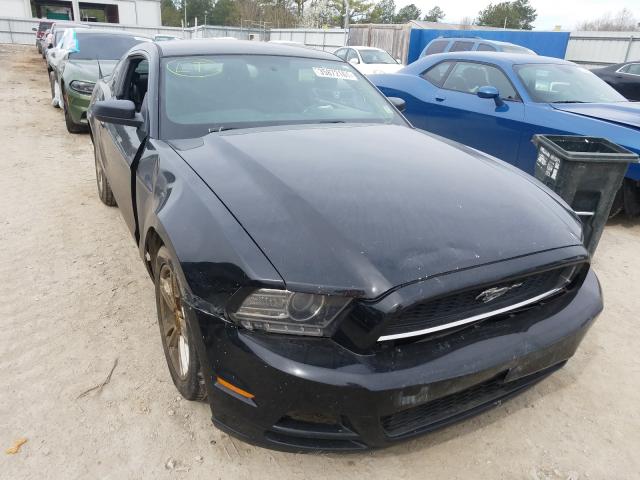 FORD MUSTANG 2013 1zvbp8am2d5241844