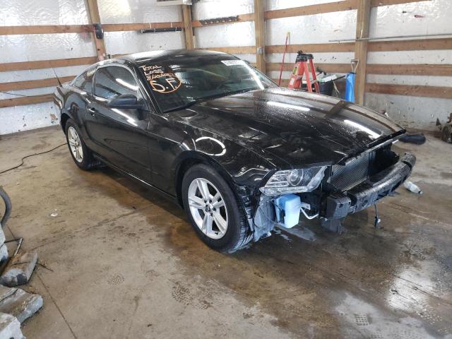 FORD MUSTANG 2013 1zvbp8am2d5241925