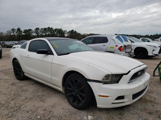 FORD MUSTANG 2013 1zvbp8am2d5241942