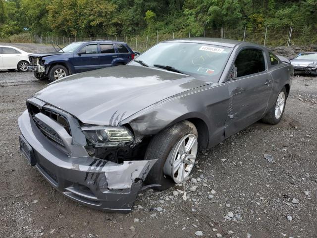 FORD ALL MODELS 2013 1zvbp8am2d5246980