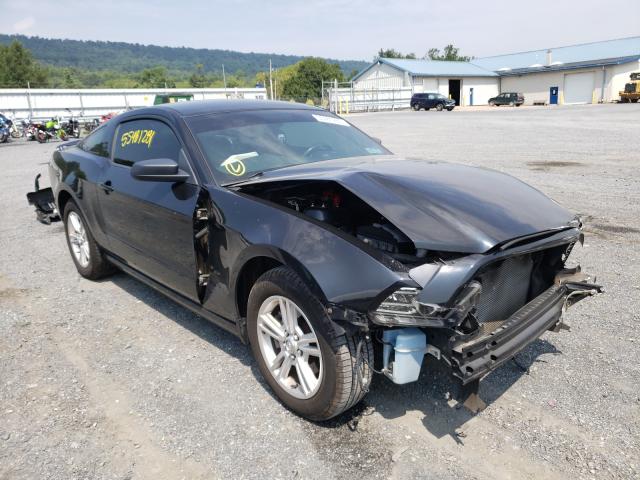 FORD MUSTANG 2013 1zvbp8am2d5247417