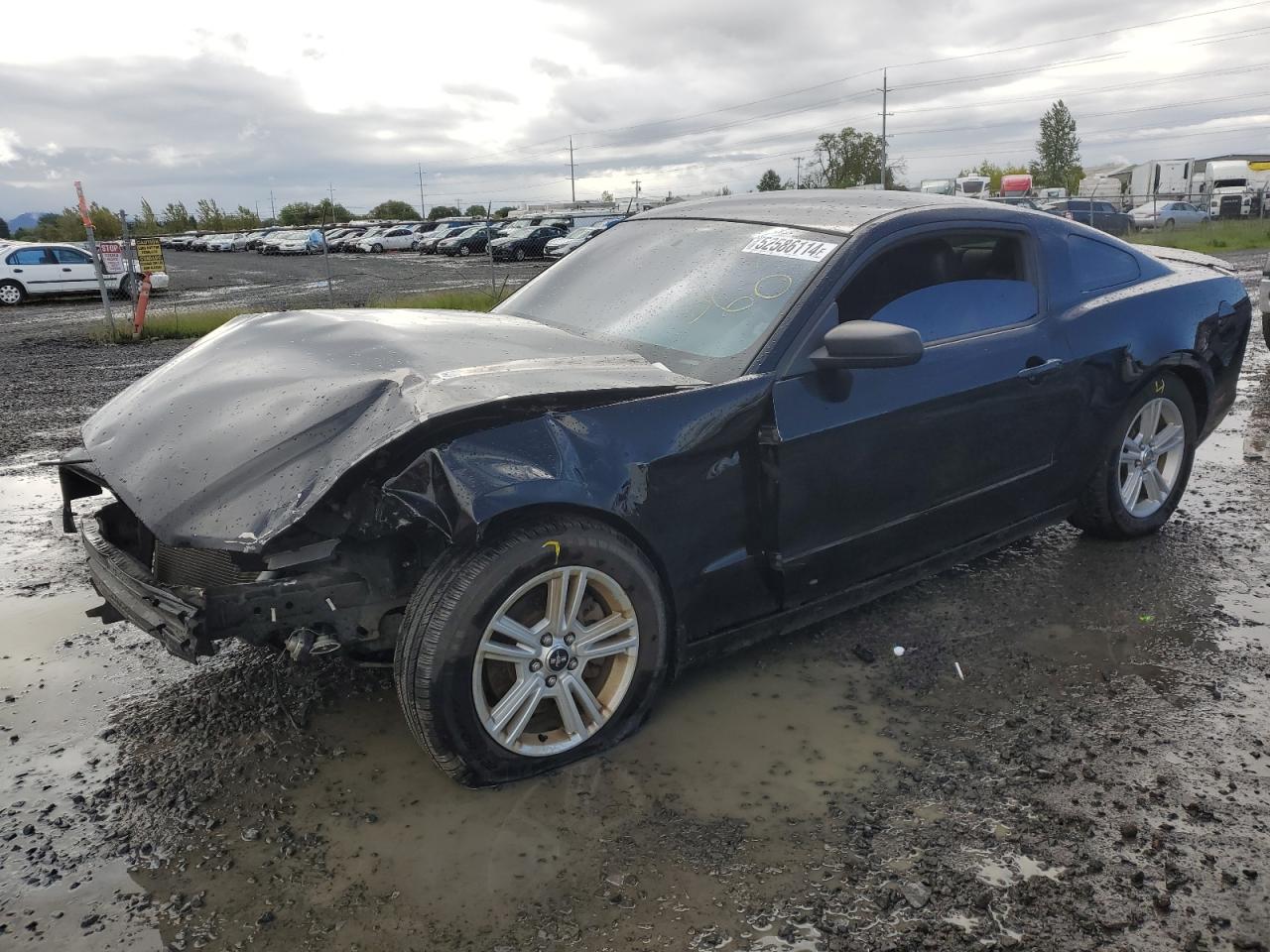 FORD MUSTANG 2013 1zvbp8am2d5248163