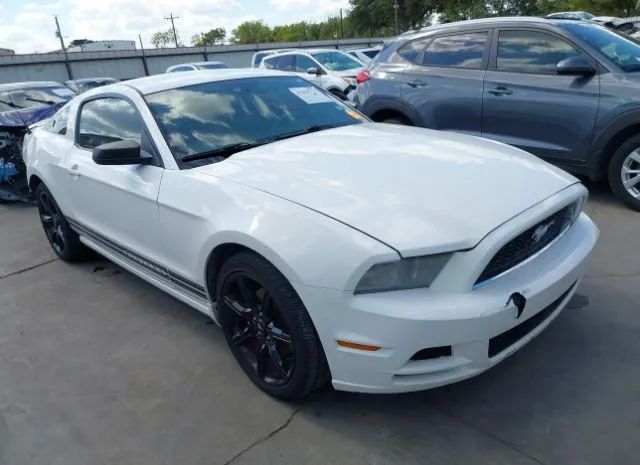 FORD MUSTANG 2013 1zvbp8am2d5250561