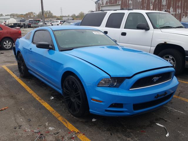 FORD MUSTANG 2013 1zvbp8am2d5250611