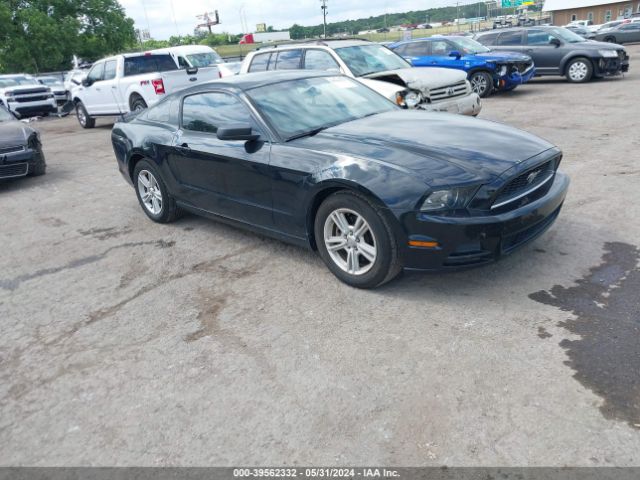 FORD MUSTANG 2013 1zvbp8am2d5251385