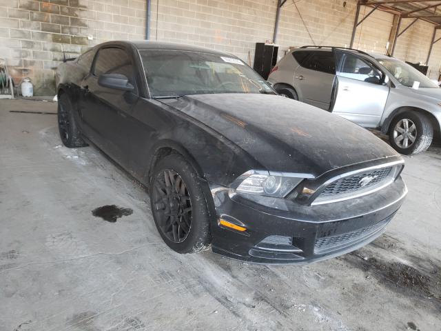 FORD MUSTANG 2013 1zvbp8am2d5252519