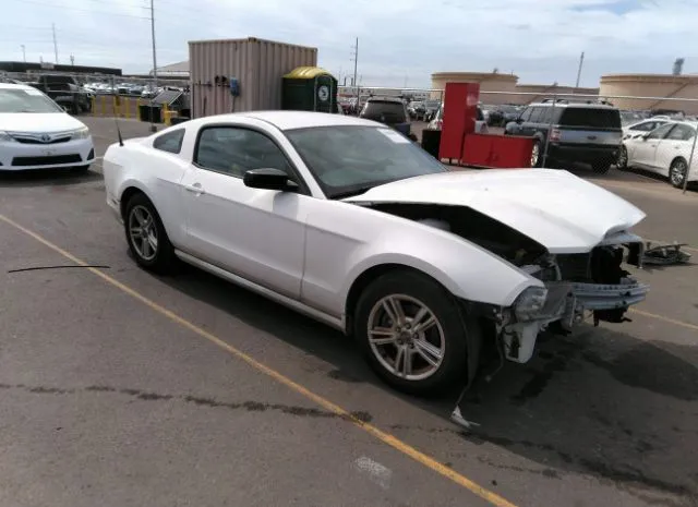 FORD MUSTANG 2013 1zvbp8am2d5252939