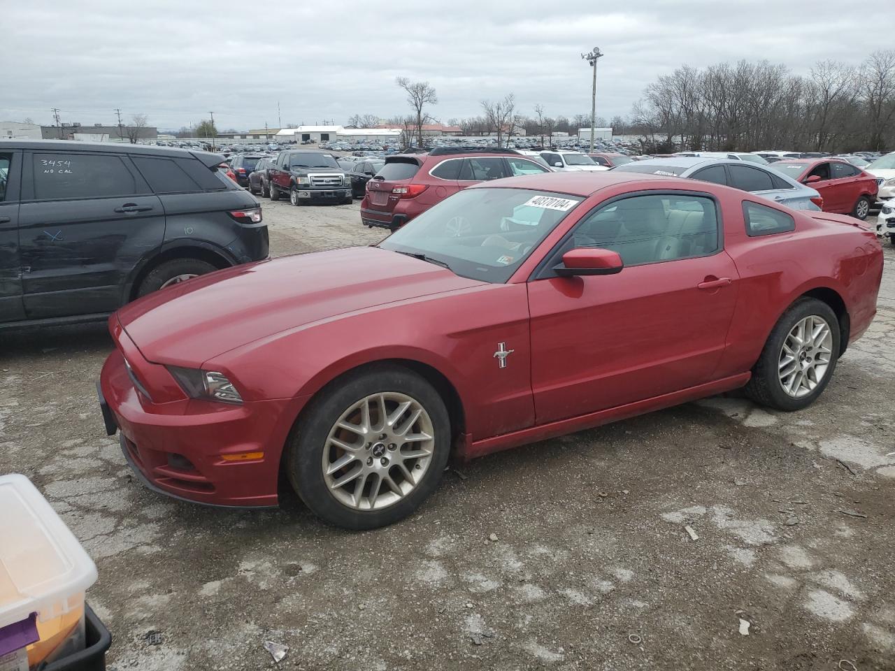 FORD MUSTANG 2013 1zvbp8am2d5253539