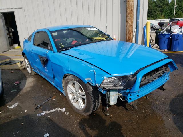 FORD MUSTANG 2013 1zvbp8am2d5253833