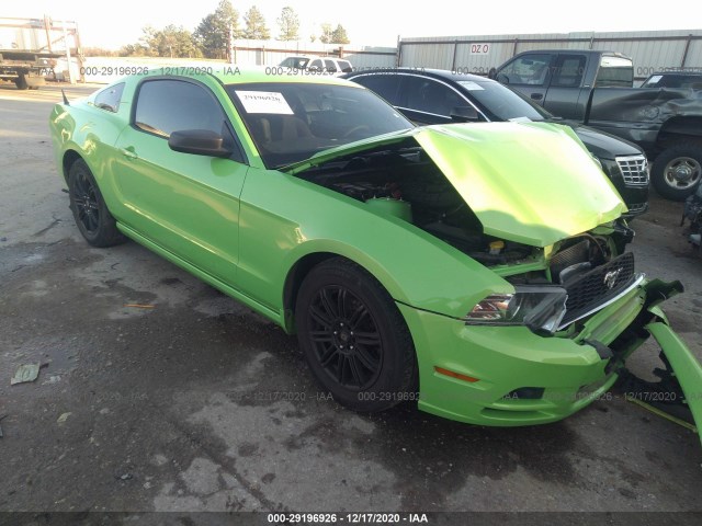 FORD MUSTANG 2013 1zvbp8am2d5255016