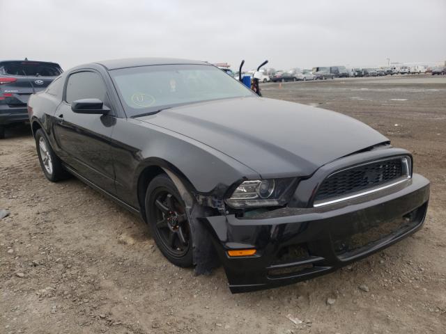 FORD MUSTANG 2013 1zvbp8am2d5255274