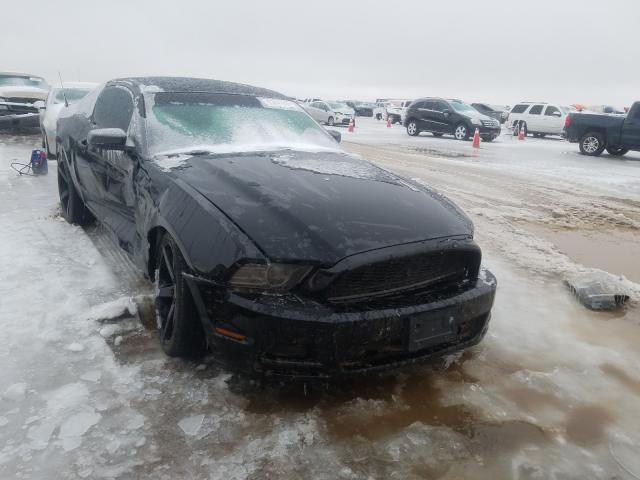 FORD MUSTANG 2013 1zvbp8am2d5259132